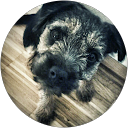 Profilbild von „Sophia Dolp“